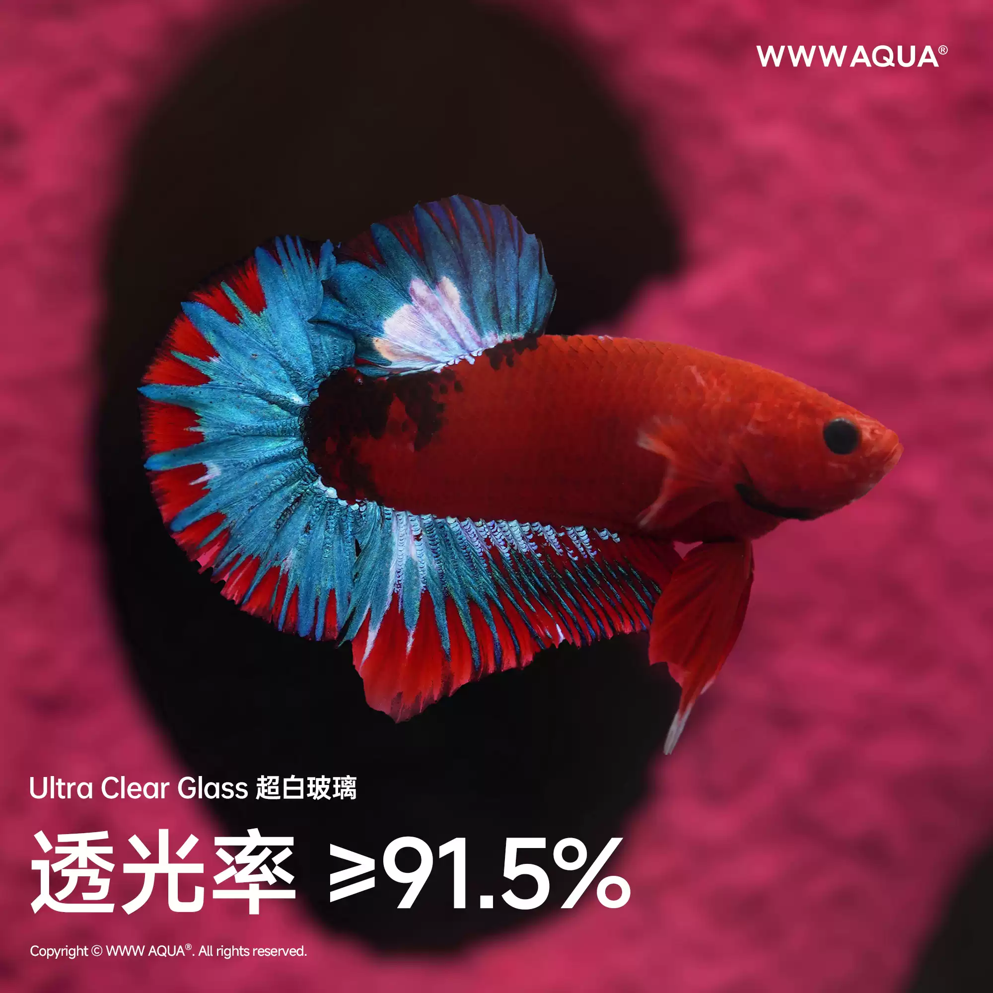 Universe Market Tuhaf Seri BON - Home Improvement Stores incelemesi ve fiyatı